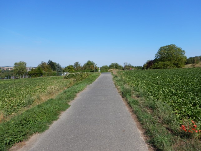 Asphaltierter Weg